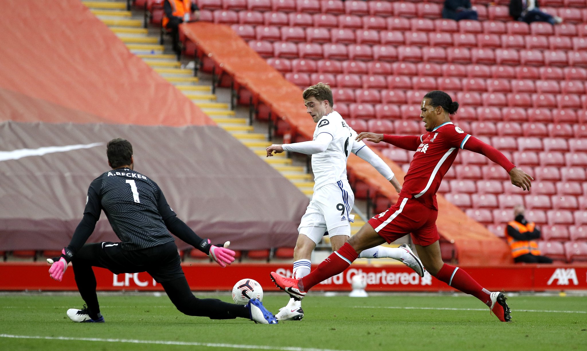 引来全世界 引来全世界